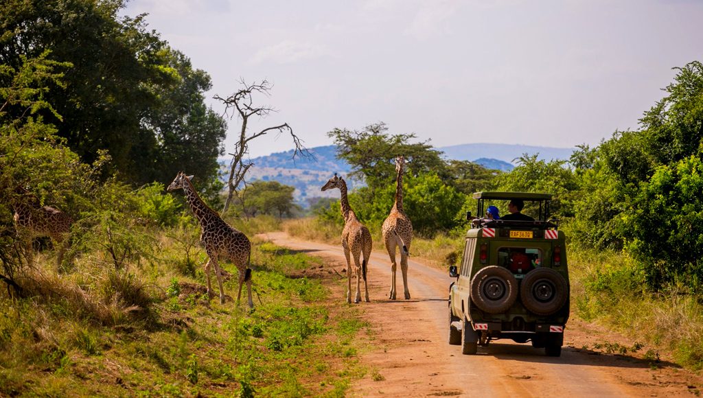 15-days-rwanda-safari-with-gorillas