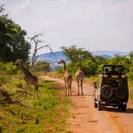 15-days-rwanda-safari-with-gorillas
