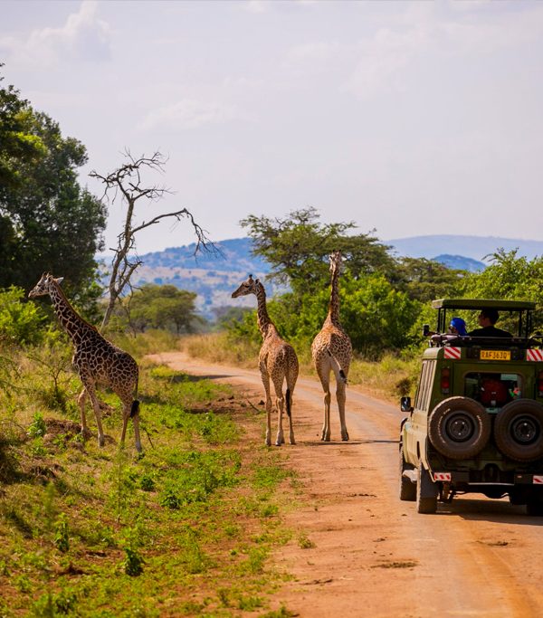 15-days-rwanda-safari-with-gorillas