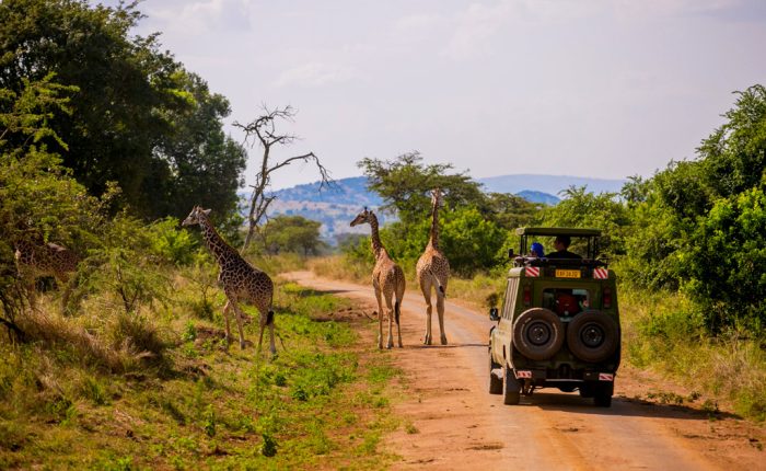 15-days-rwanda-safari-with-gorillas