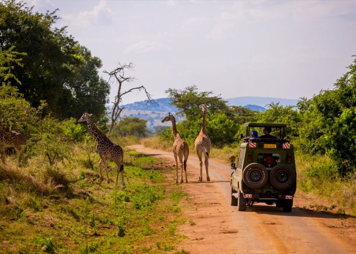 15-days-rwanda-safari-with-gorillas