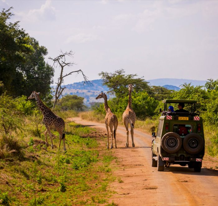 15-days-rwanda-safari-with-gorillas