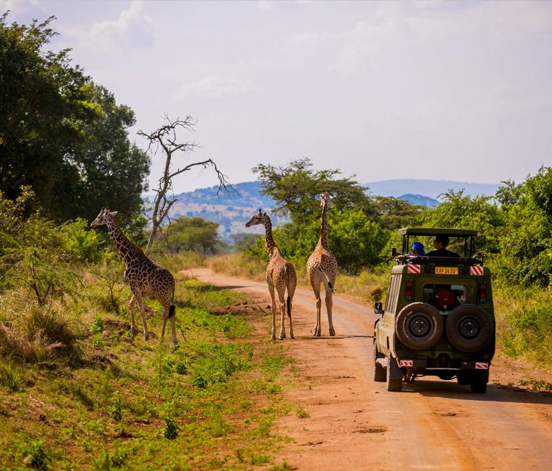15-days-rwanda-safari-with-gorillas