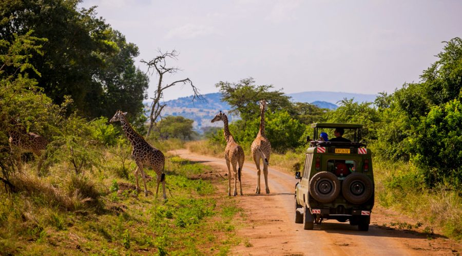 15-days-rwanda-safari-with-gorillas