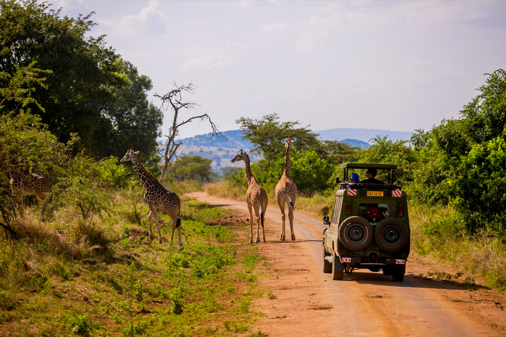 15-days-rwanda-safari-with-gorillas
