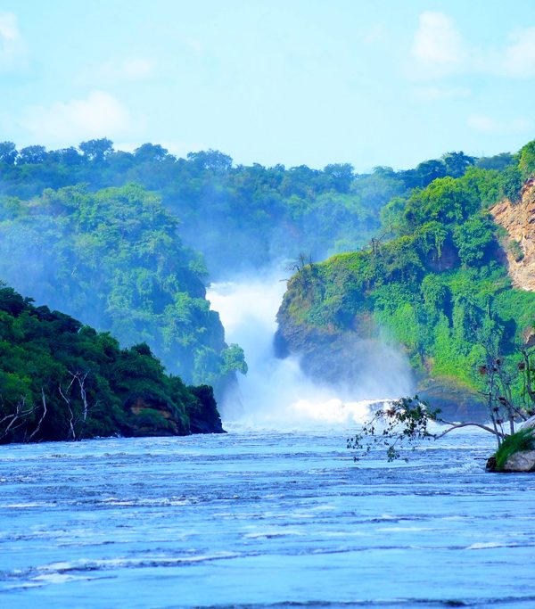 3-days-murchison-falls-safari