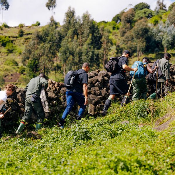 8-days-rwanda-gorillas-nature-adventure
