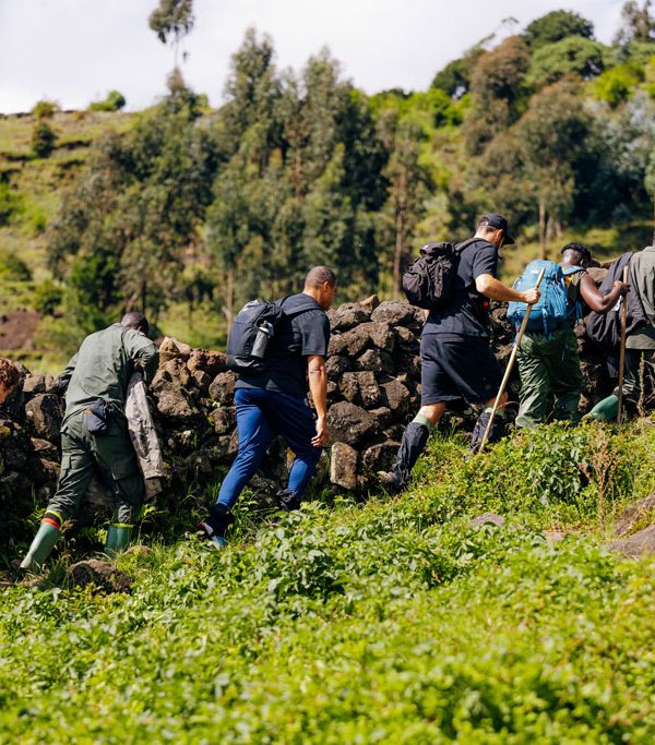 8-days-rwanda-gorillas-nature-adventure